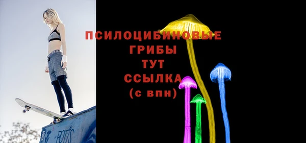 МДПВ Снежногорск