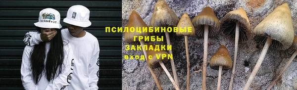 дурь Баксан